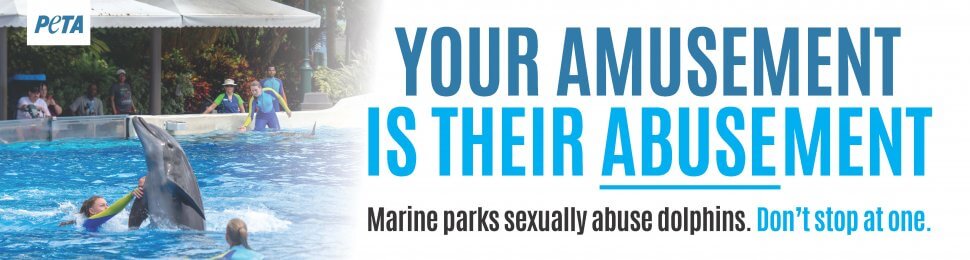 Your Amusement Is Their Abusement