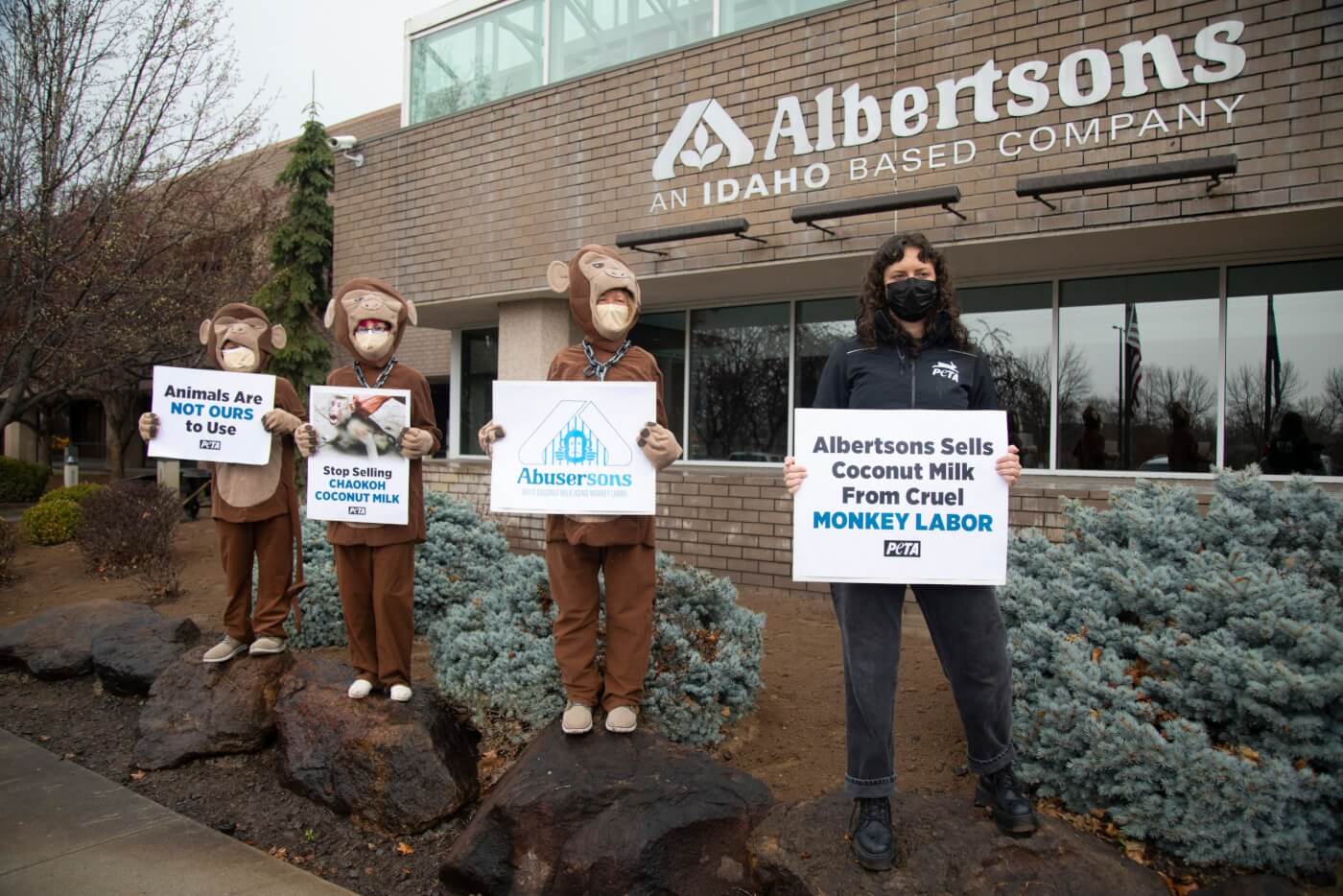 Monkeys protesting Albertsons sale of coconut milk using monkey labor