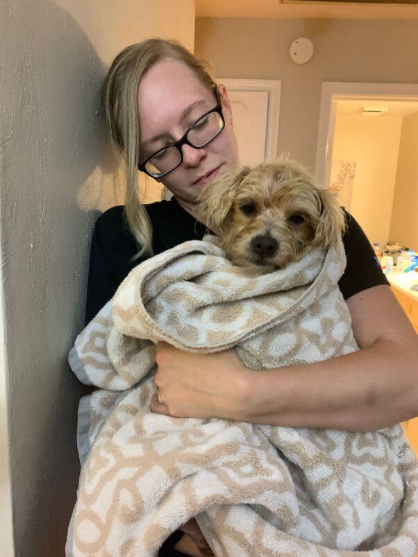 Groomer holding Winnie wrapped in a towel