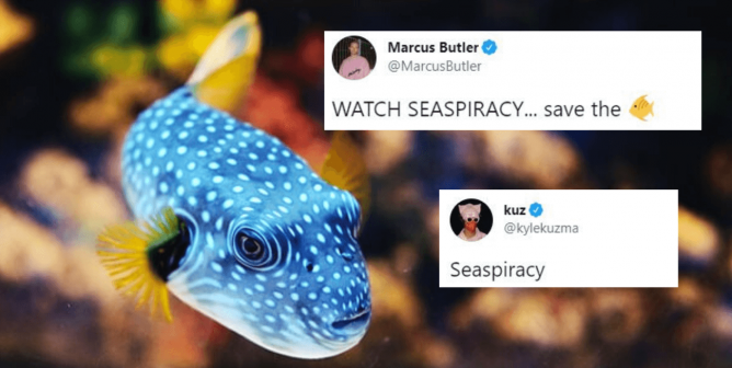 These Celebrities Can’t Stop Talking About the Netflix Hit ‘Seaspiracy’