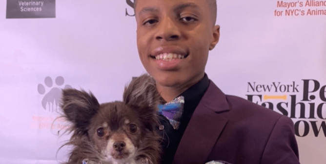 This Young Hero to Animals Helps Dogs Get Adopted by Making Them Bowties