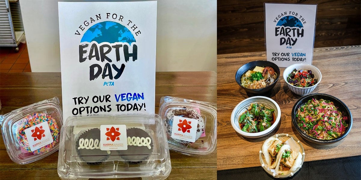 Places Offering Vegan Specials for Earth Day | PETA