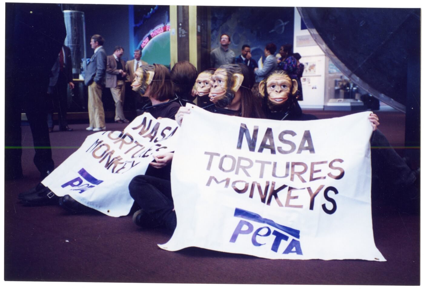 twisted animal experiments