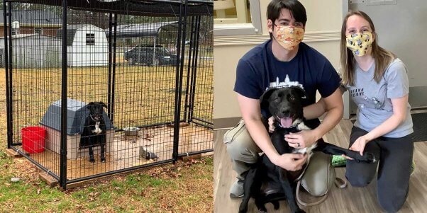 Olga "before and after" PETA's field team stepped in to help