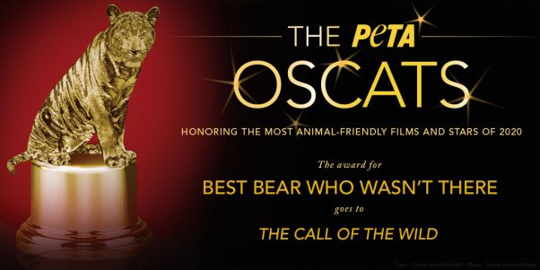 The Call of the Wild movie earns Oscat award from PETA