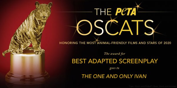 The One and Only Ivan film earns PETA Oscat award