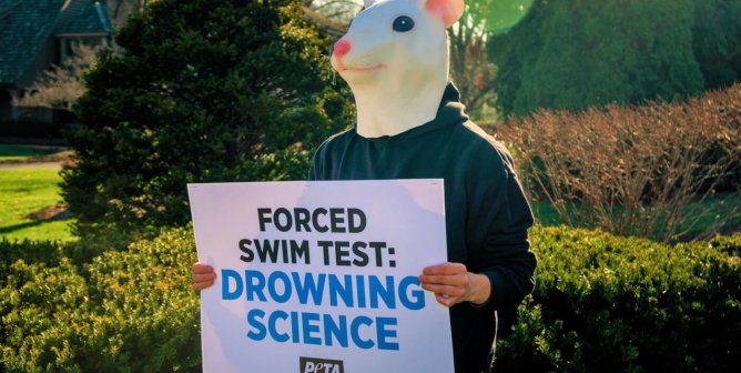 PETA’s Latest Message to Cialis-Maker Eli Lilly Is Hard to Ignore