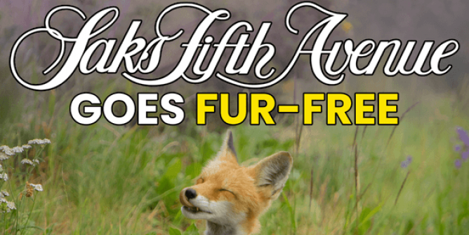 A Decade of PETA Pressure Pays Off: Saks Fifth Avenue Sacks Fur!