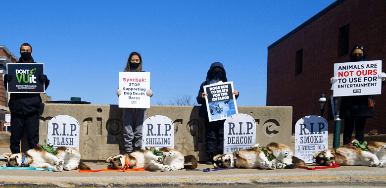 ‘Dog Graveyard’ Haunts Syncbak Over Iditarod Promo