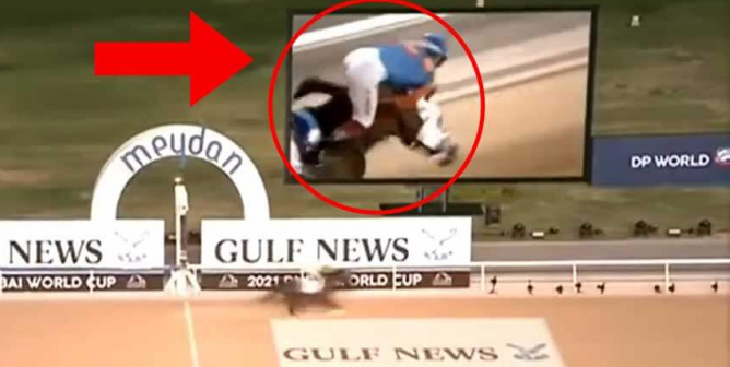 Race Bettors Cash In While the Winning Horse Dies on the Track