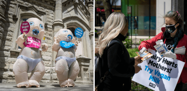 ‘Giant Babies’ Lead Mother’s Day Giveaway