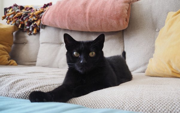 Wendy on couch in new home