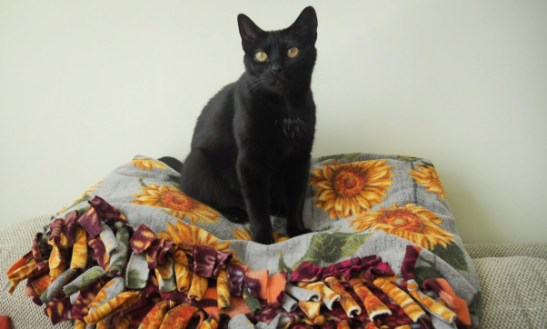 Wendy on sunflower quilt