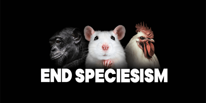 World Animal Day 2022: The Montreal Declaration of Animal Exploitation Condemns Speciesism