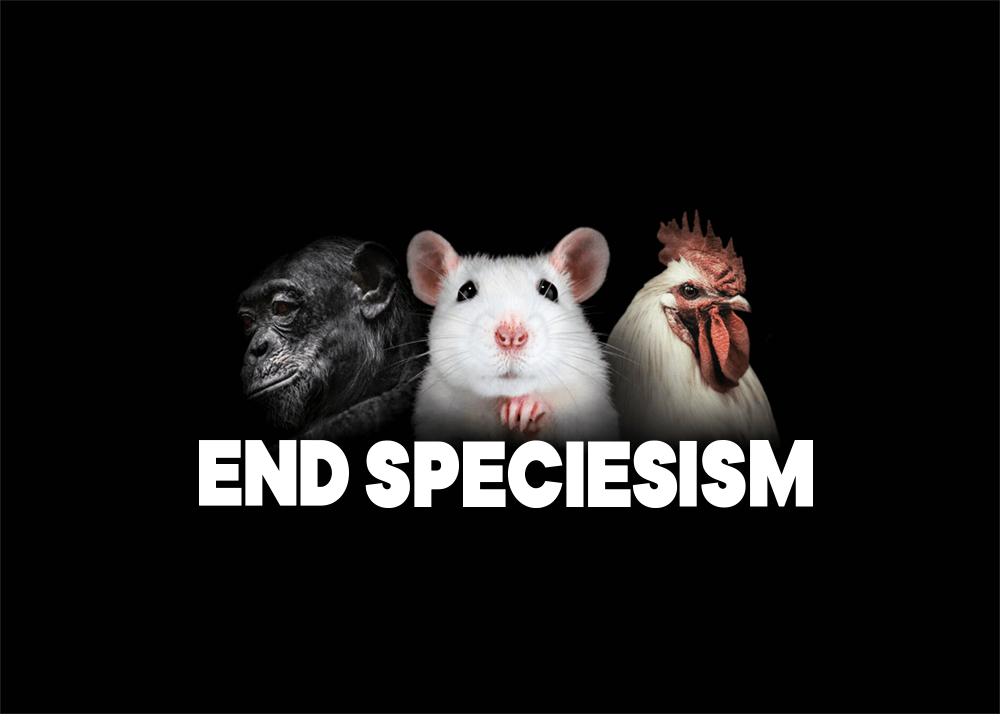 World Animal Day: The Declaration of Animal Exploitation | PETA
