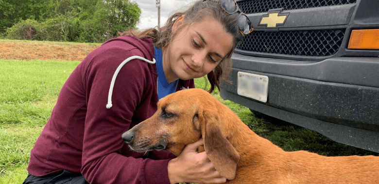 Evelyn Gets the Chance to Find a Loving Home—Thanks to PETA Fieldworkers