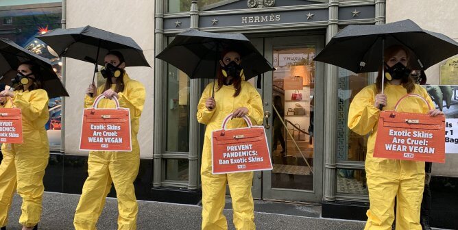 hazmat suits and high heels PETA protests Hermes