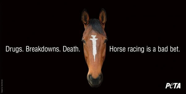 Horse Racing syringe PETA billboard