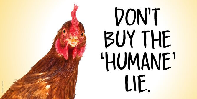 Chicken says don't buy the humane lie
