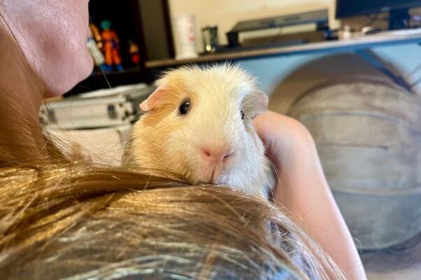 Jaxon peeking over his foster mom's shoulder