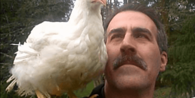 Lucky rescue, sits on shoulder