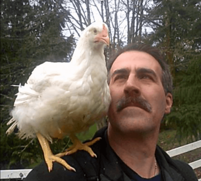 Lucky rescue, sits on shoulder