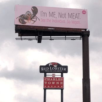 PETA 'Claws' Red Lobster With New Billboard | PETA