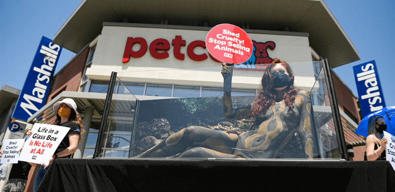 Bodypainted ‘Snake’ Slithers in Petco Protest