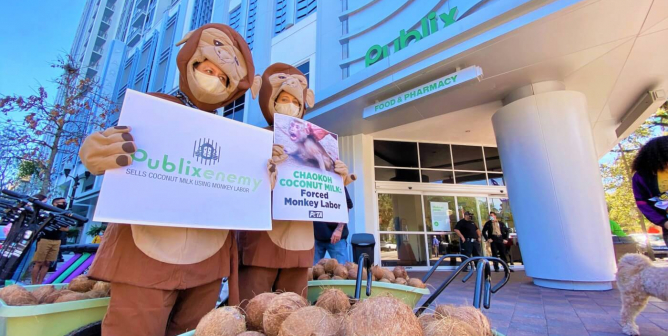 Albertsons, ‘A Taste of Thai,’ and Other Monkey Labor–Free Coconut Product Retailers and Brands