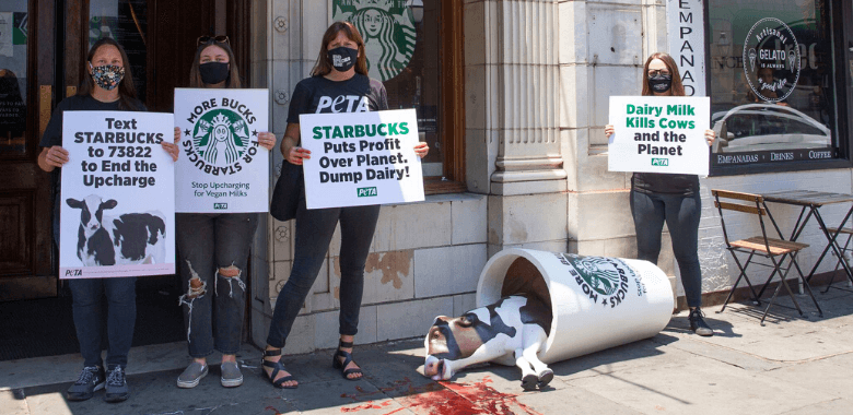 DeCALF Your Coffee! PETA Protests Starbucks’ Vegan Milk Surcharge