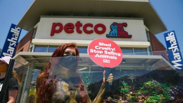 Urge Petco to Stop Selling Birds, Reptiles, Fish, and Others