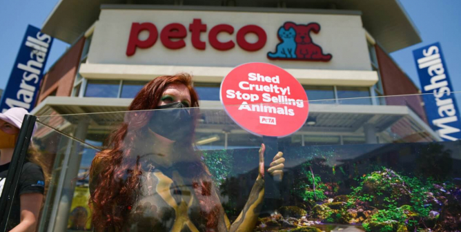 Snake Tank Petco protest in LA