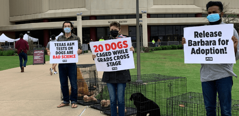 Caged ‘Dogs’ Descend on Texas A&M Veterinary Graduation