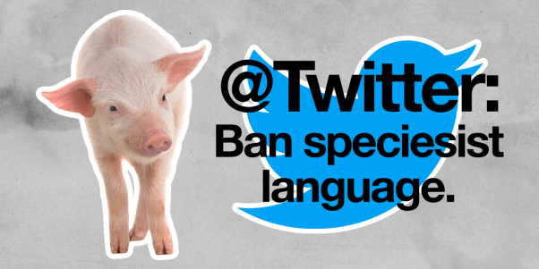 Twitter speciesist language