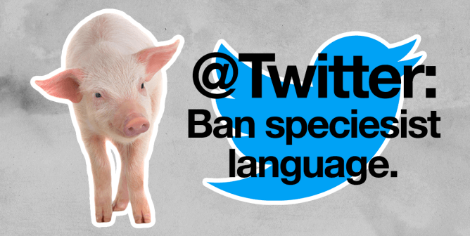 Twitter’s Taking Out the Trash—Will It Bin Speciesist Language, Too?