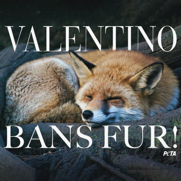 Valentino goes fur-free