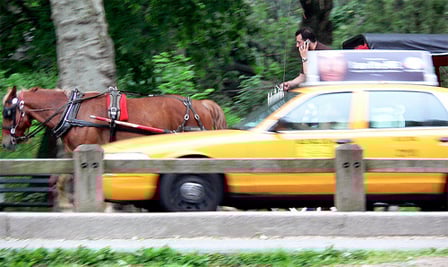 Horse Drawn Carriage