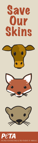 160x600_sos.gif