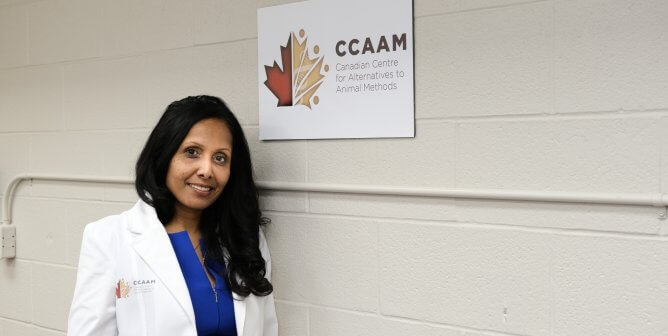 PETA scientists help researchers replace animal tests with high-tech simulators