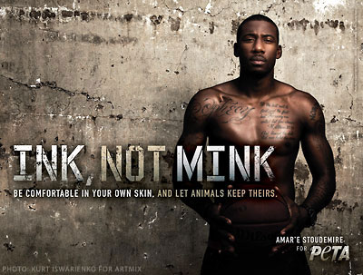 Amar'e Stoudemire