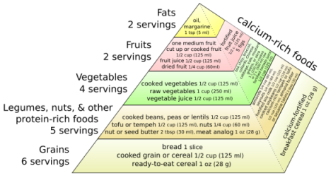 Vegan Food Pyramid