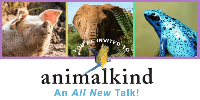 Animalkind virtual event