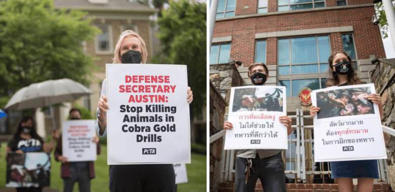 One-Two PETA Punch Takes On Marine Bloodlust Drills