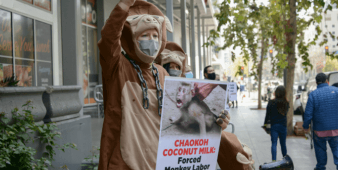 Coconut Milk Monkey Labor Protest