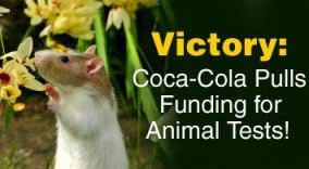 Coca-Cola Stops Animal Tests | PETA