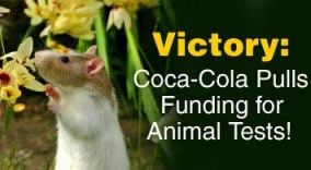 Coca-Cola Stops Animal Tests | PETA Coca-Cola Stops Animal Tests | PETA