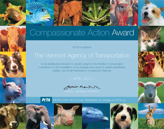 Compassionate Action Award