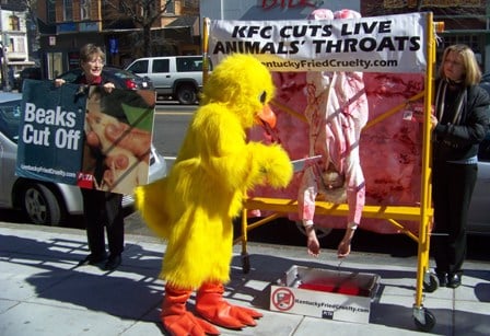 KFC demo 1