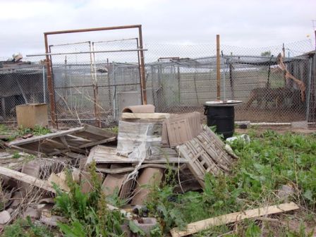 Prairie Cat Animal Refuge2