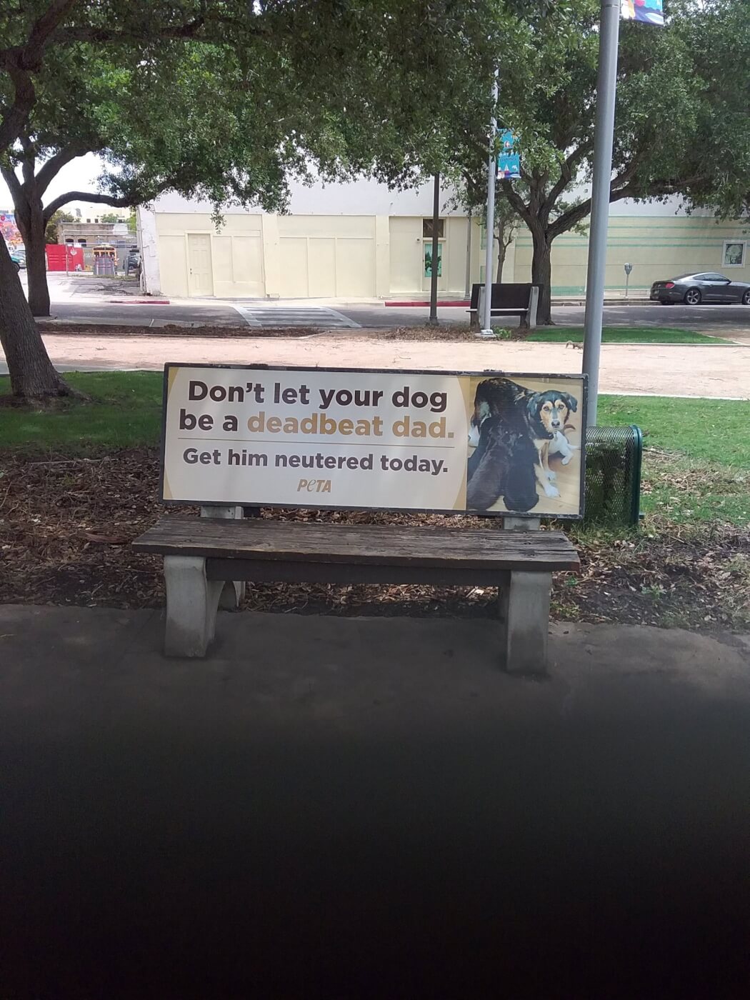 PETA